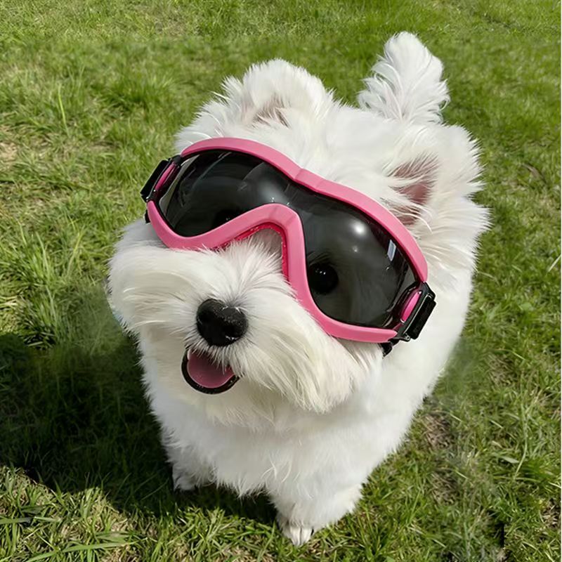 Dog Goggles for Small Medium D - đánh giá và giá Sunglass Retainer Cord